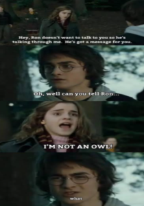 Harry Hermione funny conversation.