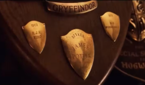 James Potter Gryffindor award. 