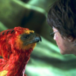 Harry meets a phoenix.