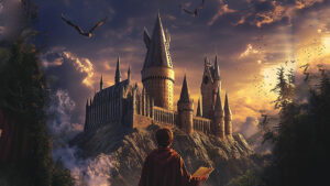 Wizard gazing at castle.