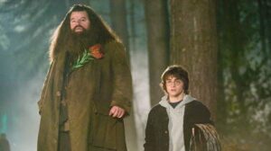 Hagrid and Harry walking