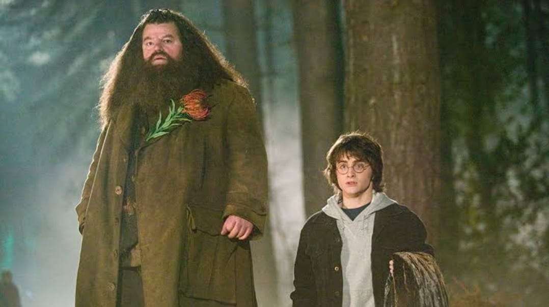 Hagrid and Harry walking