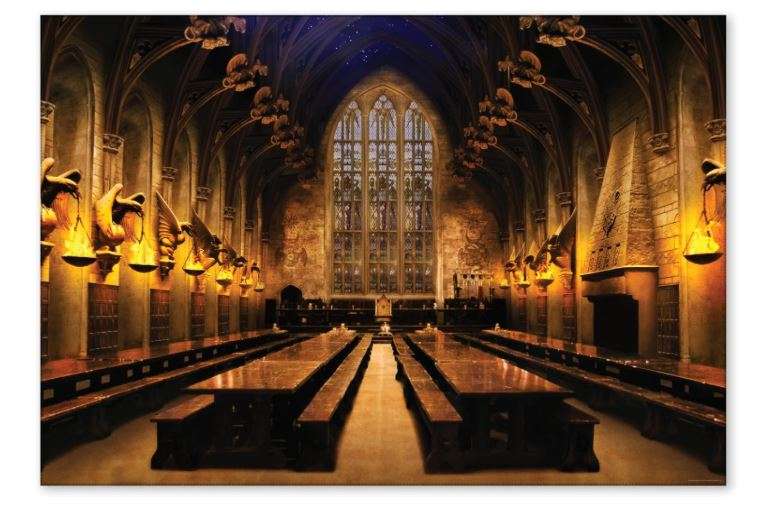 Conquest Journals Harry Potter Hogwarts Great Hall Backdrop Wall Banner, Large Photo Backdrop, Party Decoration, Wizarding World Room Decor, 5ft x 7ft...