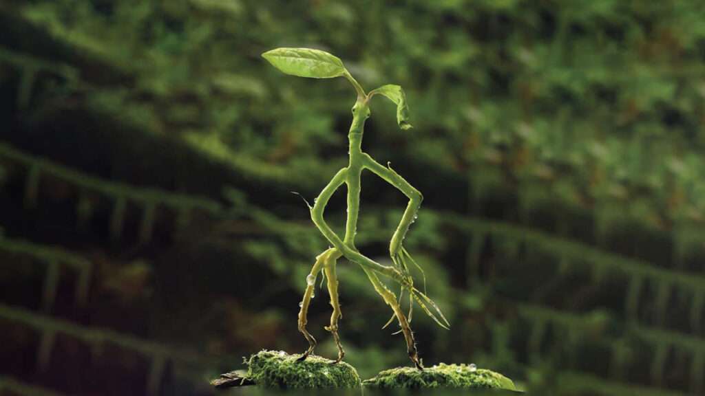 Pickett