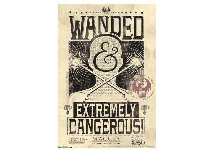 Trends International Fantastic Beasts And Where To Find Them - Wanded - Extremely Dangerous Wall Poster, 22.375" x 34", Premium Unframed Version