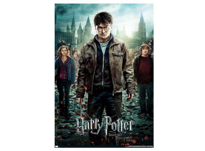Trends International Harry Potter and the Deathly Hallows: Part 2 - One Sheet Wall Poster, 19L x 13W, Premium Unframed Version 