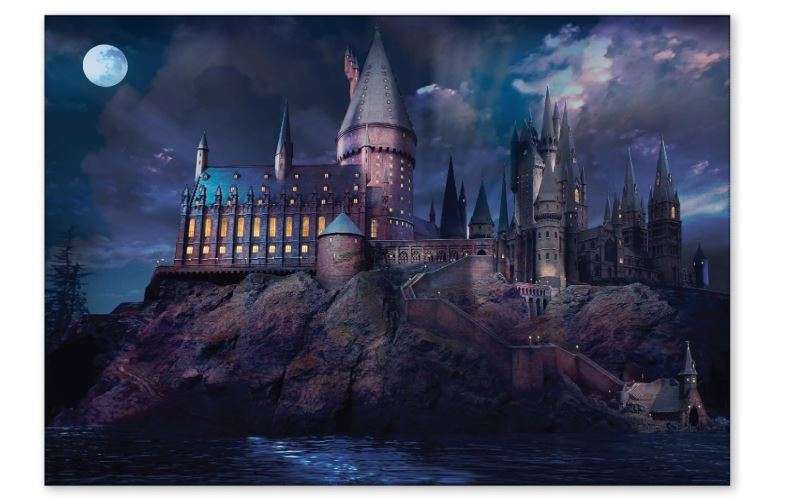 Conquest Journals Harry Potter Hogwarts Castle at Night Backdrop Wall Banner, Large Photo Backdrop, Party Decoration, Wizarding World Room Decor, 5ft x 7ft...