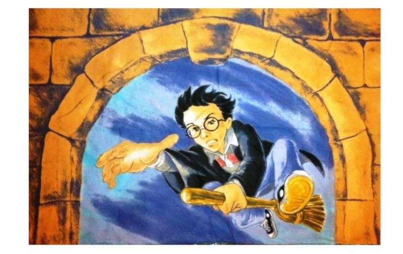 Harry Potter Standard Pillowcase Pillow Case Cloak of Dreams