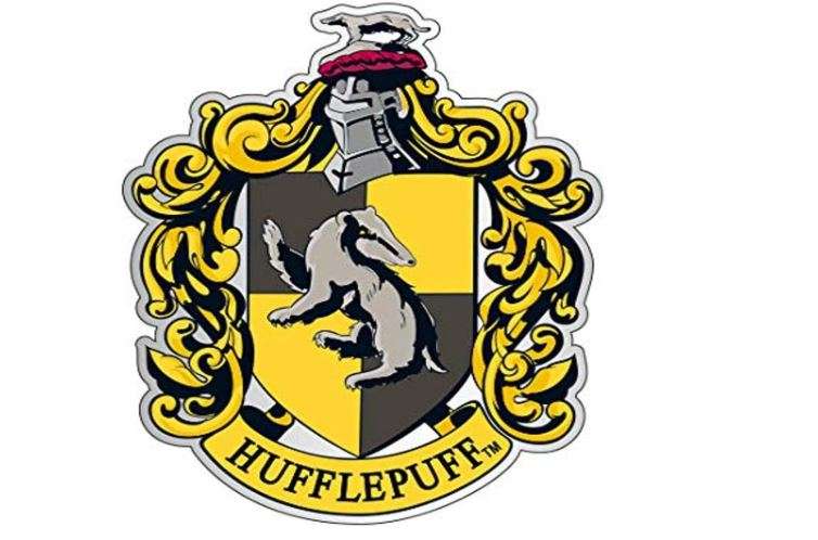 Harry Potter Hufflepuff Crest Enamel Pin 