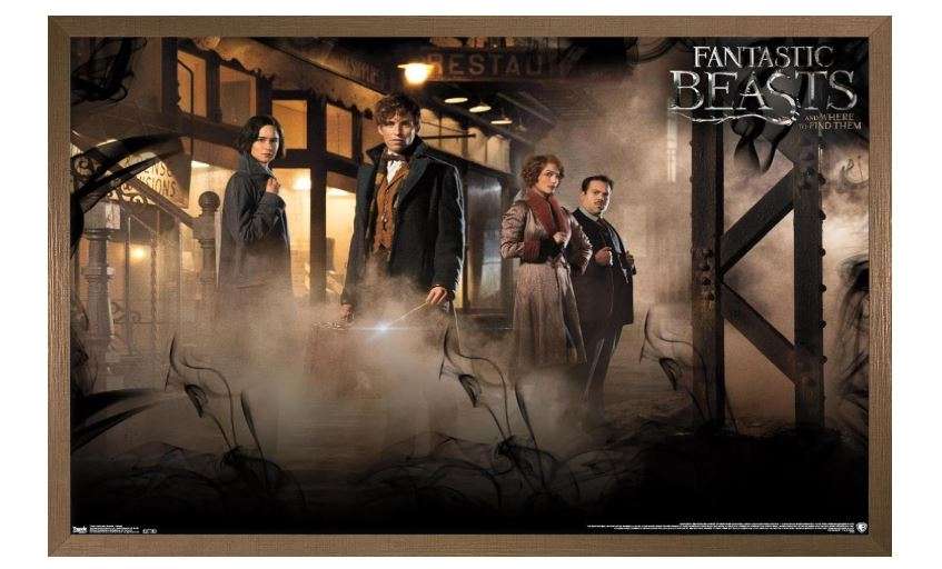 Trends International Fantastic Beasts And Where To Find Them - Teaser One Sheet Wall Poster, 22.375" x 34", Bronze Framed Version