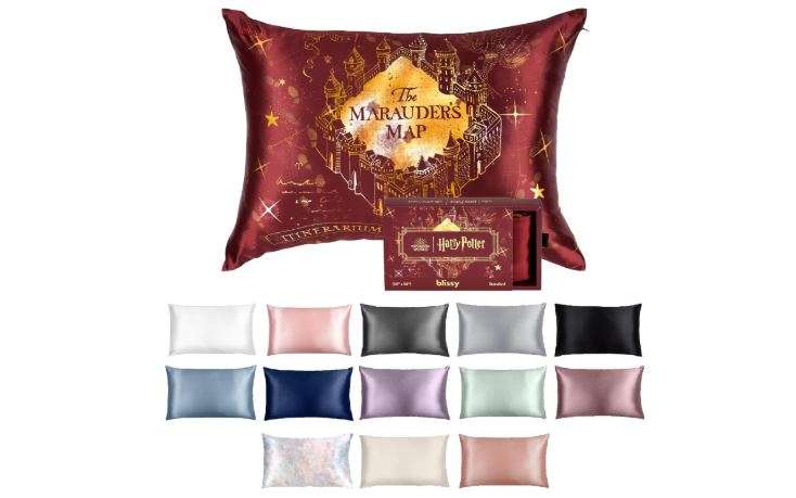 Blissy Silk Pillowcase - 100% Pure Mulberry Silk - 22 Momme 6A High-Grade Fibers - Silk Pillow Cover for Hair & Skin - Regular, Queen & King (Harry...