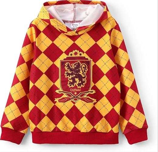 Harry Potter Hoodie for Kids Girls Boys Gryffindor Slytherin Ravenclaw Hufflepuff Pullover Hooded Sweatshirt Hogwarts Clothes
