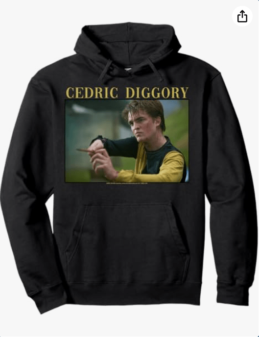 Harry Potter Cedric Diggory Wand Portrait Pullover Hoodie