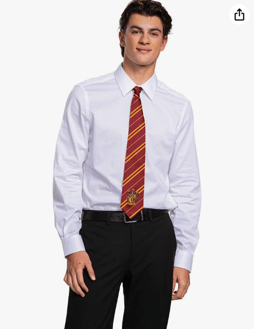 Harry Potter Necktie Costume Accessory, Movie Quality Hogwarts House Themed Character Dress Up Tie for Adults