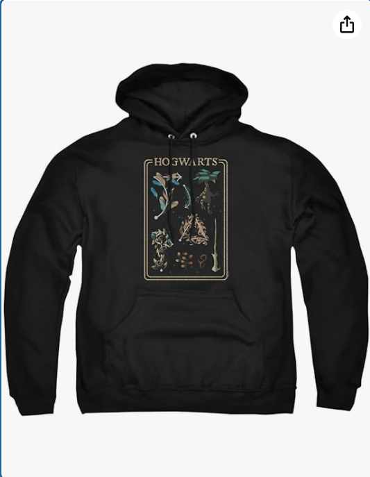 Popfunk Harry Potter Gradient Spellbook Adult Pull-Over Hoodie
