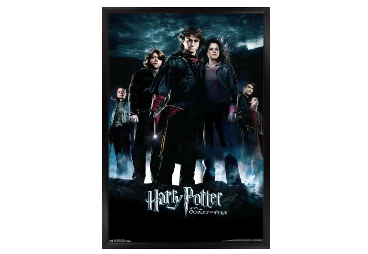 Trends International Harry Potter and the Goblet of Fire - Group One Sheet Wall Poster, 22.375" x 34", Black Framed Version