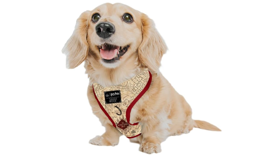  Sassy Woof Dog Adjustable Harness - Harry Potter™ Marauder's Map™ - XS, Breathable Mesh, No Pull Design with Two D-Rings, Perfect for Small Dogs and...