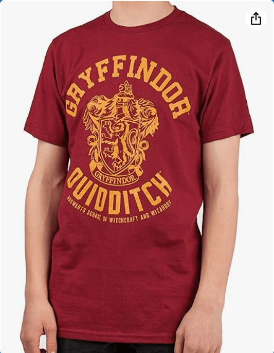 Harry Potter Gryffindor Quidditch Adult T-Shirt Red