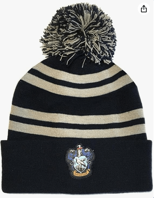 Harry Potter Ravenclaw Beanie (One Size) (Blue/Silver)
