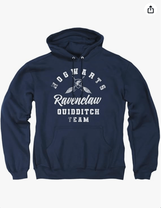 Popfunk Harry Potter Ravenclaw Quidditch Adult Pull-Over Hoodie