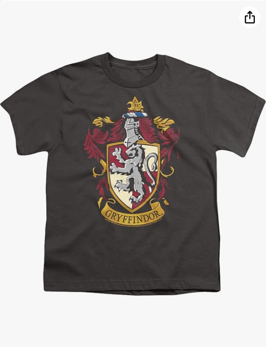 Popfunk Harry Potter Gryffindor House Crest Youth/Big Kids 7+ Years Unisex Boy Girl Short Sleeve Graphic T-Shirt & Stickers (Medium) Charcoal
