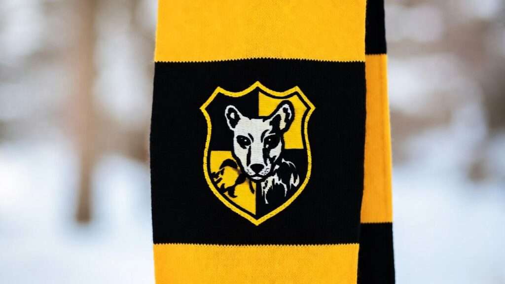 scarf hufflepuff