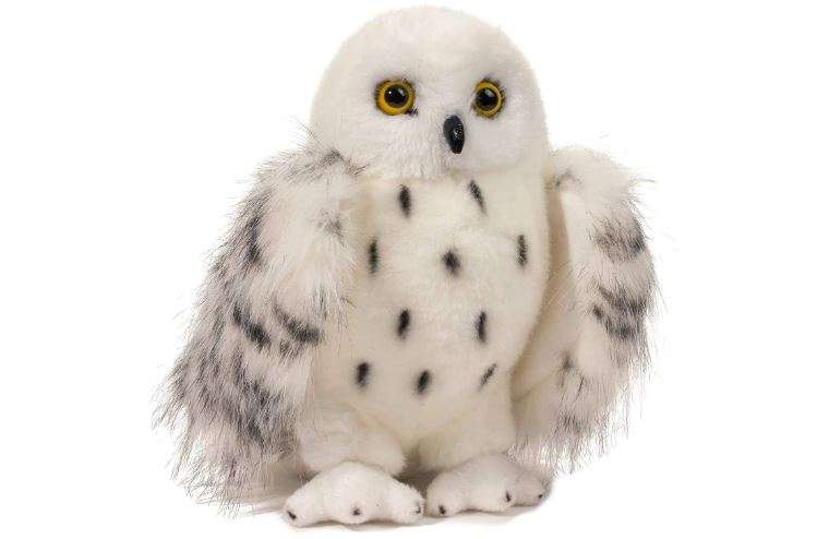 Douglas Wizard Snowy Owl Plush Stuffed Animal
