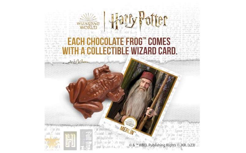 Harry Potter Chocolate Frog and Collectible Card, 0.55 Ounces, (2 Pack)