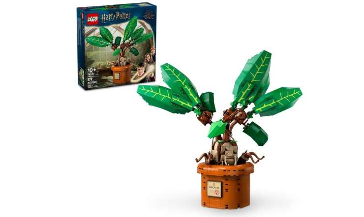 LEGO Harry Potter Mandrake Figure & Pot Plant Toy, Harry Potter Collectible Gift Idea for Kids, Magical Creature Playset for Room décor, Harry Potter...