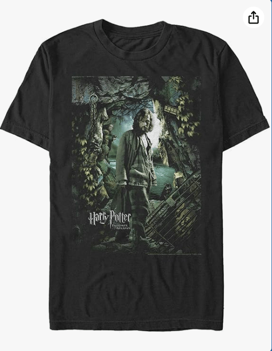 Harry Potter Men's Sirius Azkaban Poster T-Shirt, Black, Small