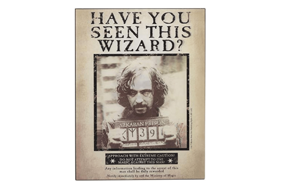 Open Road Brands Harry Potter Sirius Wanted Poster 3D Wood Wall Decor - Vintage Harry Potter Wall Art - Have You Seen This Wizard?