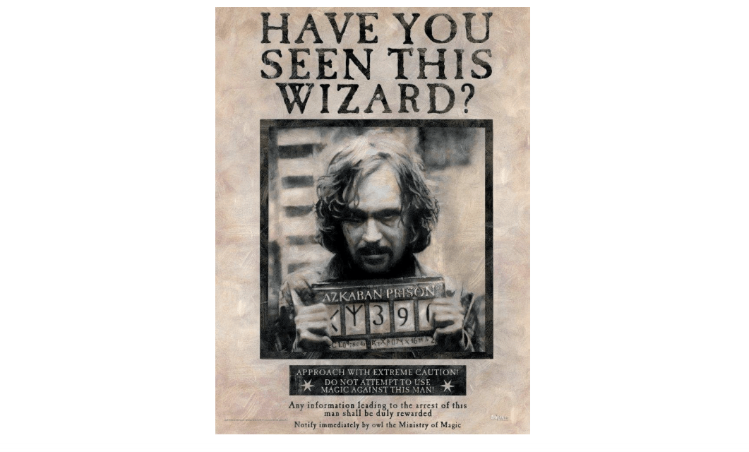 MIGHTYPRINT Harry Potter - Sirius Black - Wanted Wizard - Azkaban Prison - Mug Shot – Durable 17” x 24 Wall Art – NOT Made of Paper – Officially Licensed...