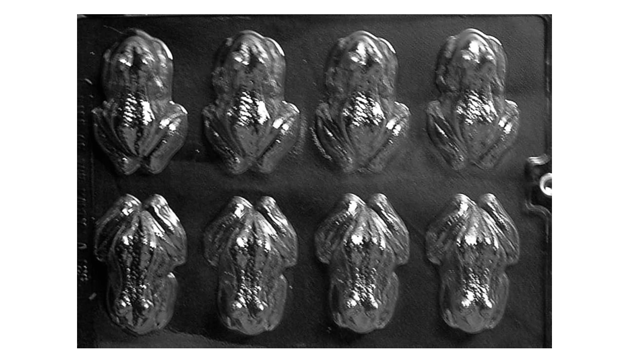 Life of the Party Frog A126 Chocolate Candy Mold with Instructions
