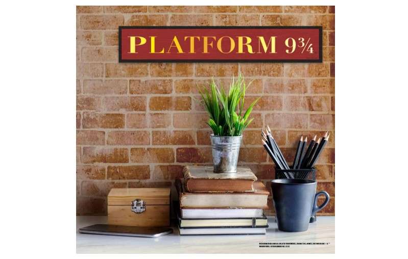 Harry Potter Platform 9 3/4 Wood Wall Decor - Fun Harry Potter Sign for Bedroom or Movie Room 