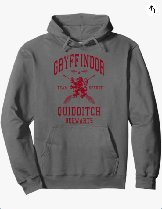 Harry Potter Gryffindor Quidditch Team Seeker Pullover Hoodie