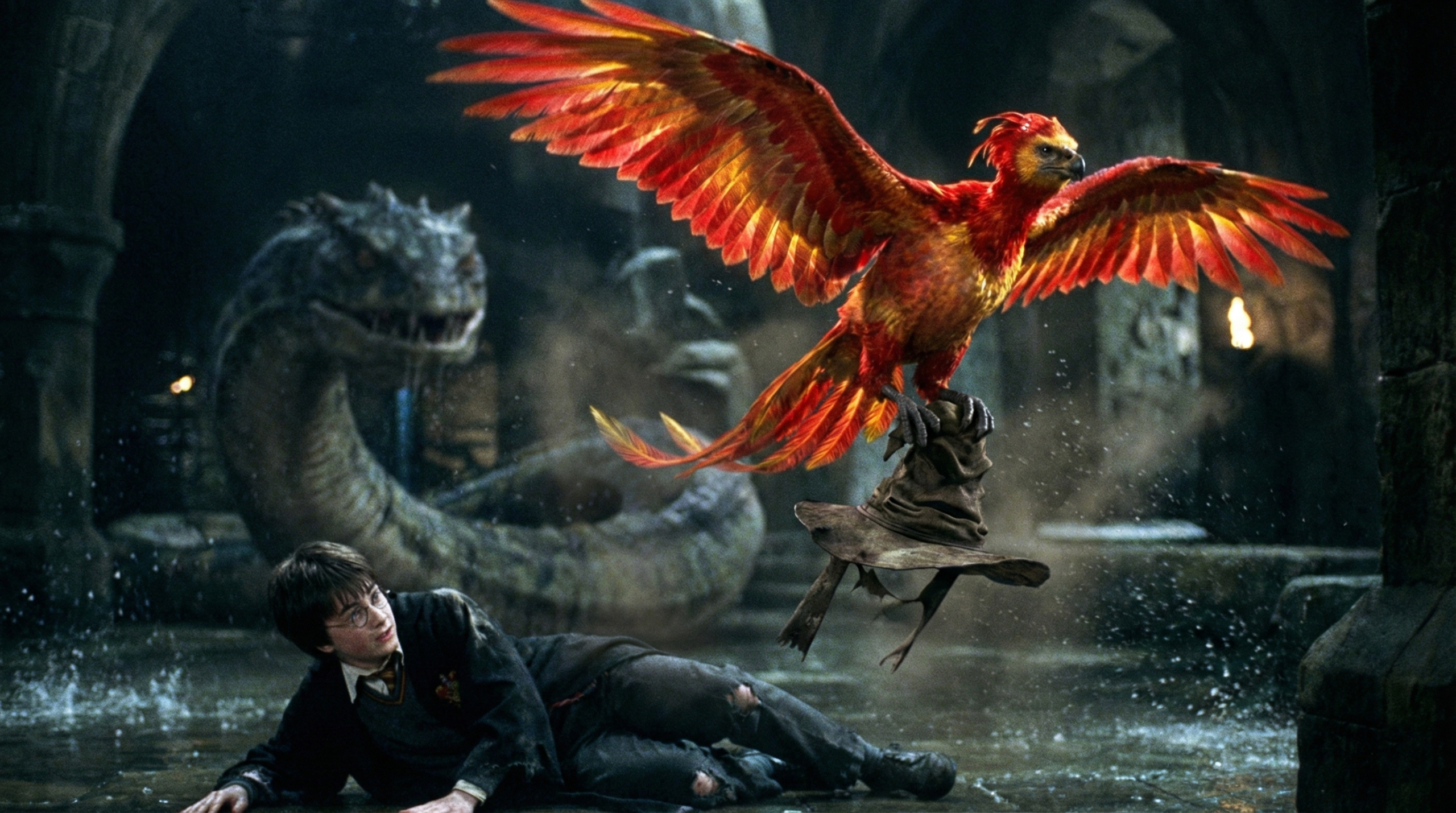 A phoenix carrying a hat by a boy in Harry Potter and the Chamber of Secrets. 