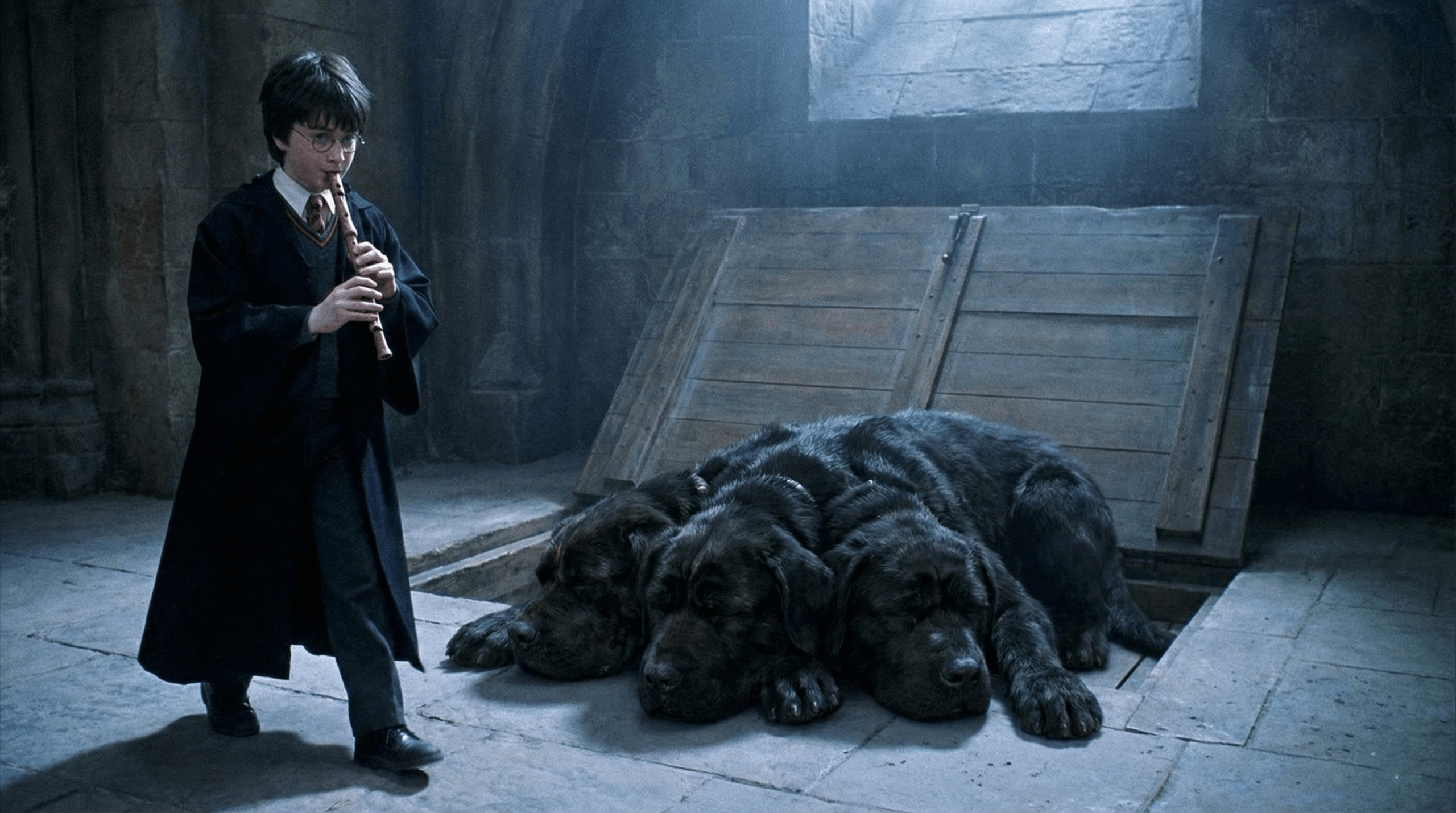 Harry Potter playing flute to put Fluffy the three-headed dog to sleep