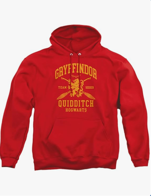 Popfunk Harry Potter Hogwarts Houses Quidditch Team Adult Pull-Over Hoodie
