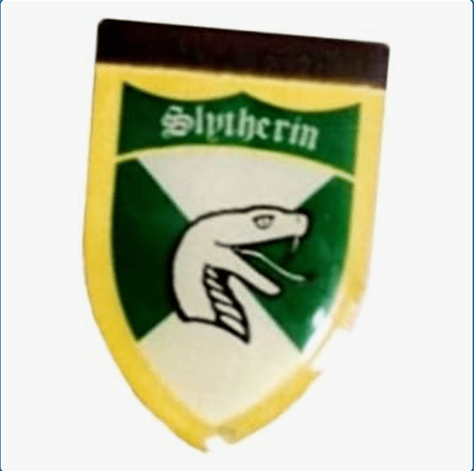 Harry Potter Magic Reveal Enameled Pin Badge Slytherin Quidditch Team Hogwarts School
