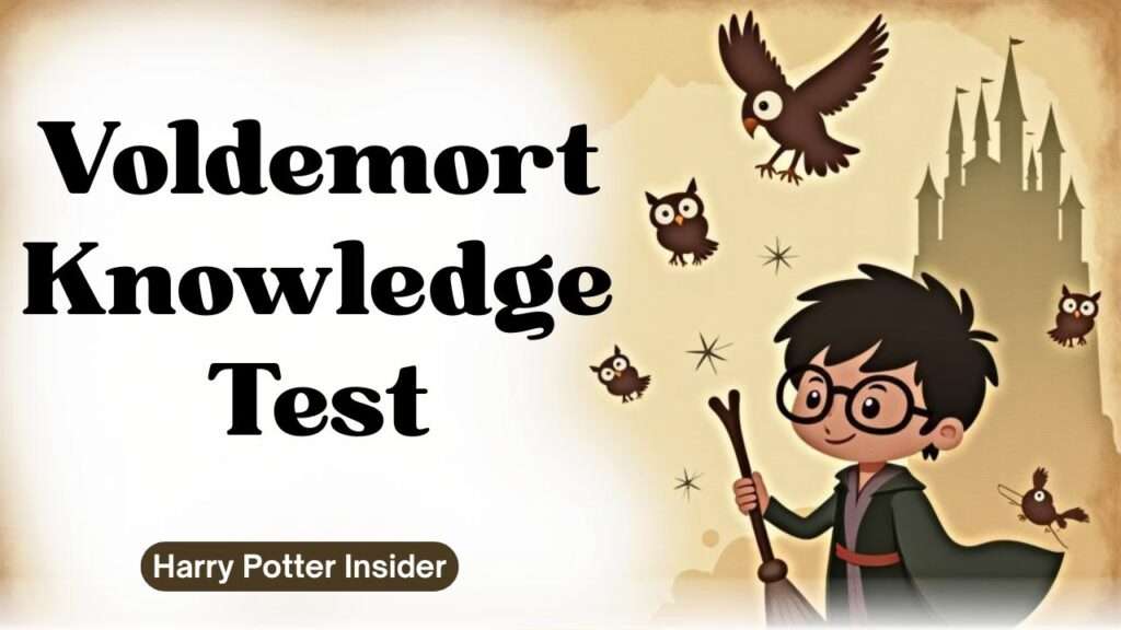 Voldemort knowledge test