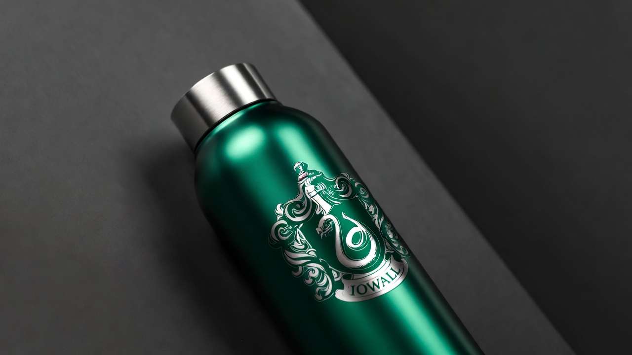 Slytherin Harry Potter Owala FreeSip water bottle featuring green serpent crest design