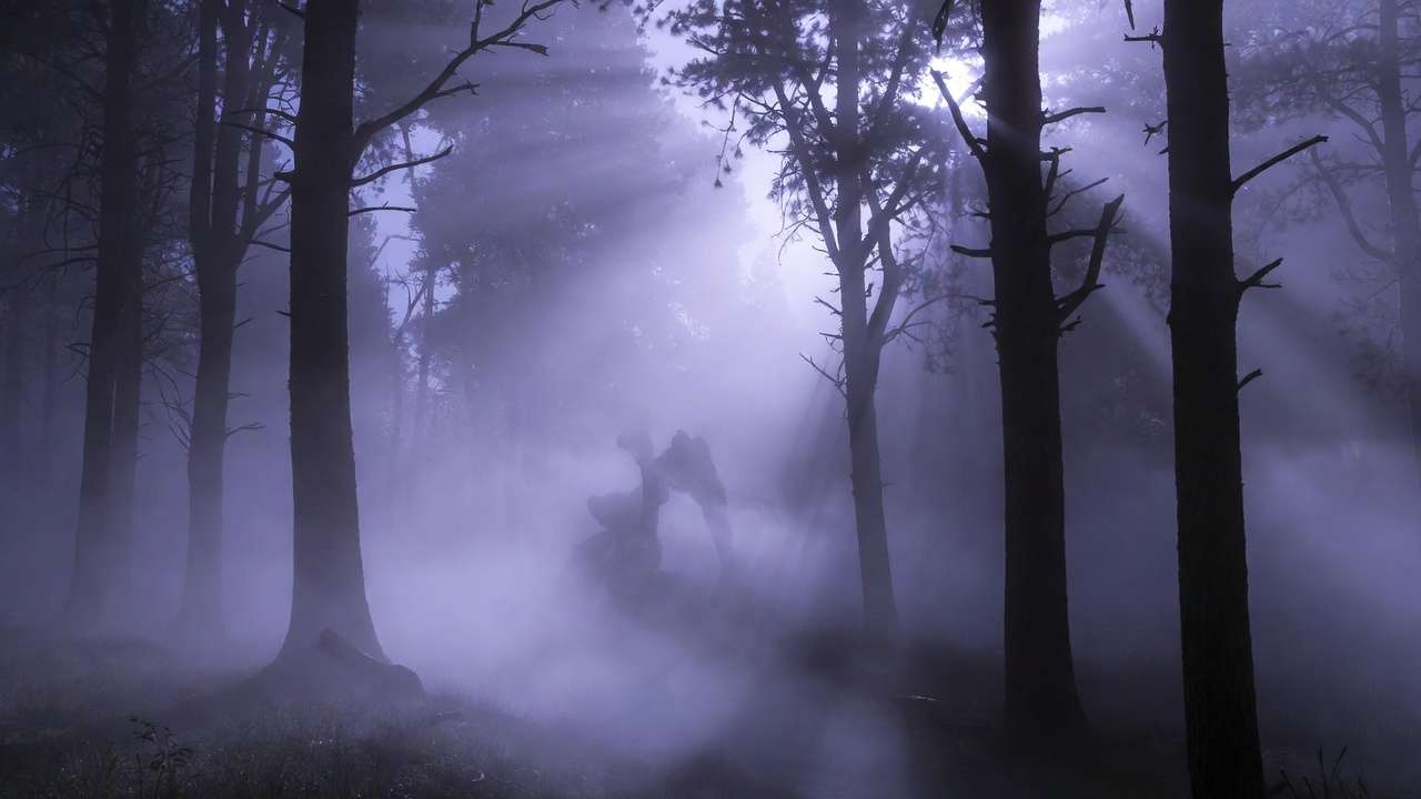 Misty dark forest dementor atmosphere Harry Potter scary scene