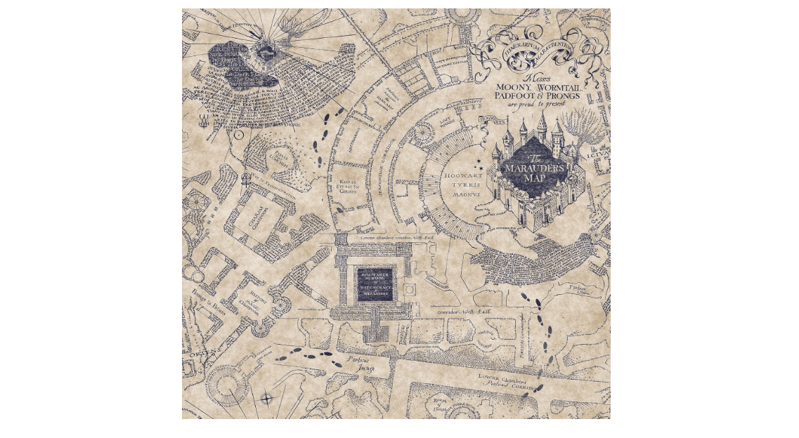 RoomMates RMK12436RL Blue Harry Potter Marauder's Map Peel and Stick Wallpaper
