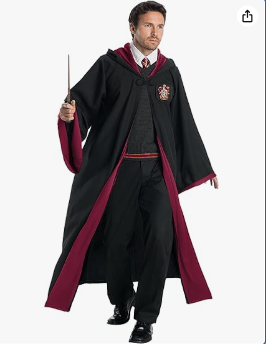 Charades Gryffindor Student Adult Costume
