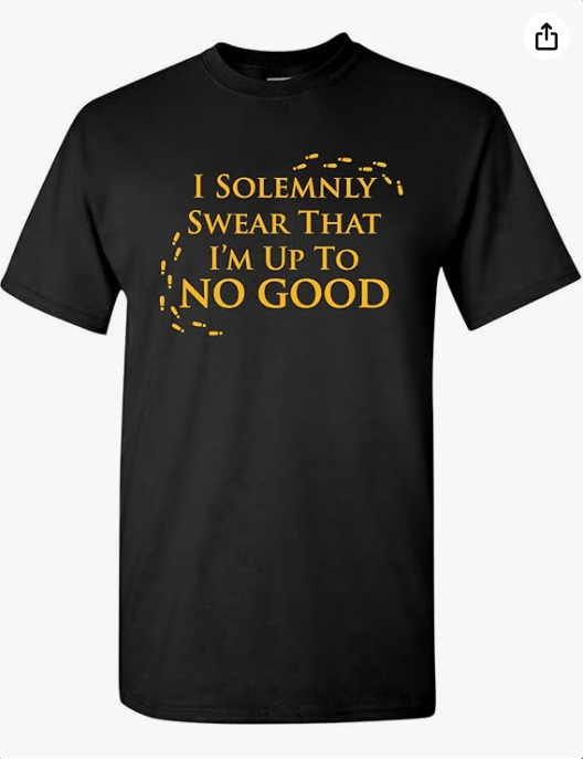 UGP Campus Apparel - I Solemnly Swear That I Am Up to No Good - Marauders Map Wizard Movie T Shirt - X-Large - Black
