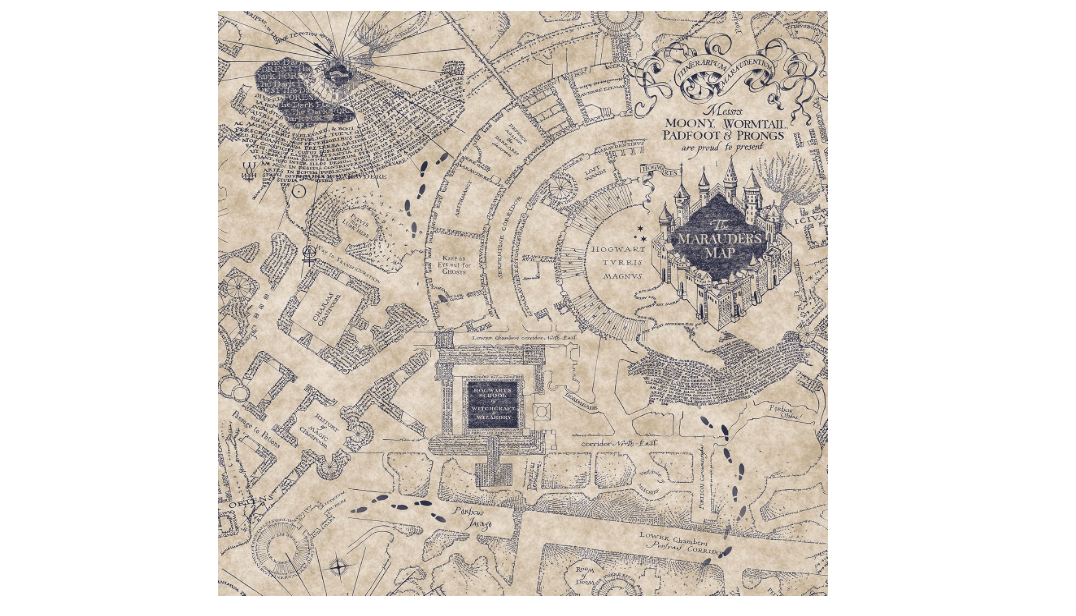 RoomMates RMK12436RL Blue Harry Potter Marauder's Map Peel and Stick Wallpaper