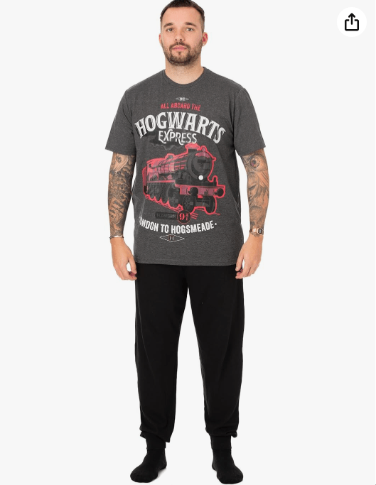 Harry Potter Mens Pajamas | Adults Hogwarts Express Long Leg Loungewear Pants & Short Sleeve T-Shirt Complete PJs Set
