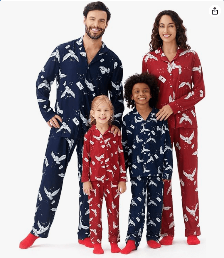 Harry Potter Family Matching Pajamas Hedwig Owl Allover Print Top and Pant Sets for Couples His and Hers Kids Boys and Girls
