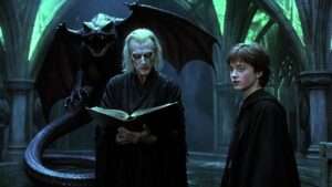 harry potter and the chamber of secrets tom riddle