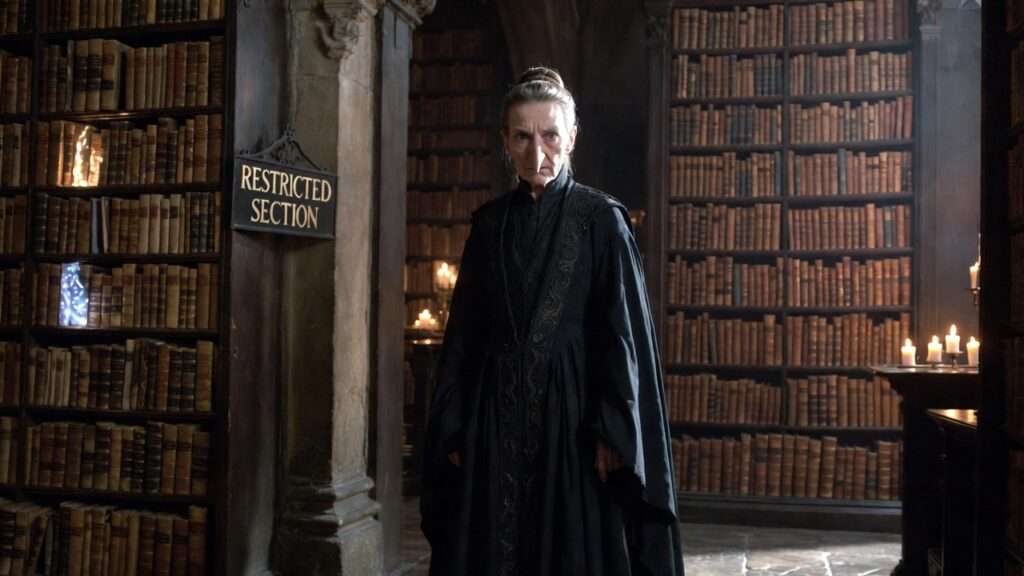 Harry Potter Librarian